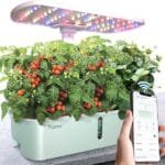 Best Nutrition Tips & Healthy Eating Guides : AI-powered smart garden system with automated watering, lighting, and plant health monitoring for effortless gardening