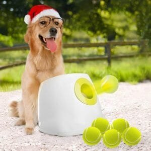 Best Pet Supplies Near Me : ALL FOR PAWS Automatic Dog Ball Launcher for Medium to Large Dogs - Interactive Fetch Toy