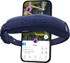 Best Pet Supplies Near Me : Halo Collar 4 with GPS wireless dog fence and training features, ensuring safe and reliable pet containment.