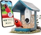 Smartphone screen showing Birdfy app with live bird feed and notifications