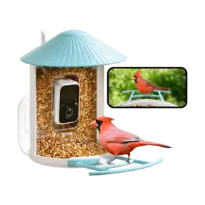 Birdfy Smart Bird Feeder Review : bird feeder price : Birdfy Smart Bird Feeder mounted on a garden pole with birds feeding
