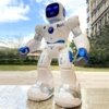 Domestic Assistant Robots