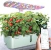 Smart Garden Systems